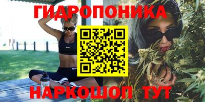 молекула духа Волгодонск