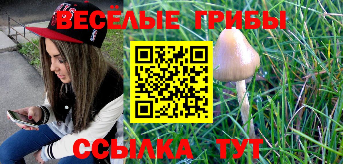 Муравленко  Галлюциногенные грибы Magic Shrooms  Вход с VPN 